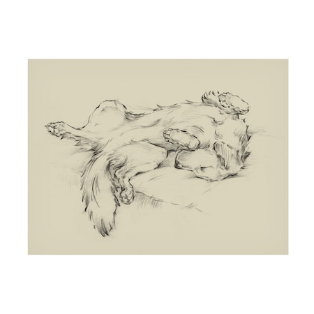 Ethan Harper 'Dog Tired II' Canvas Art, 18x24